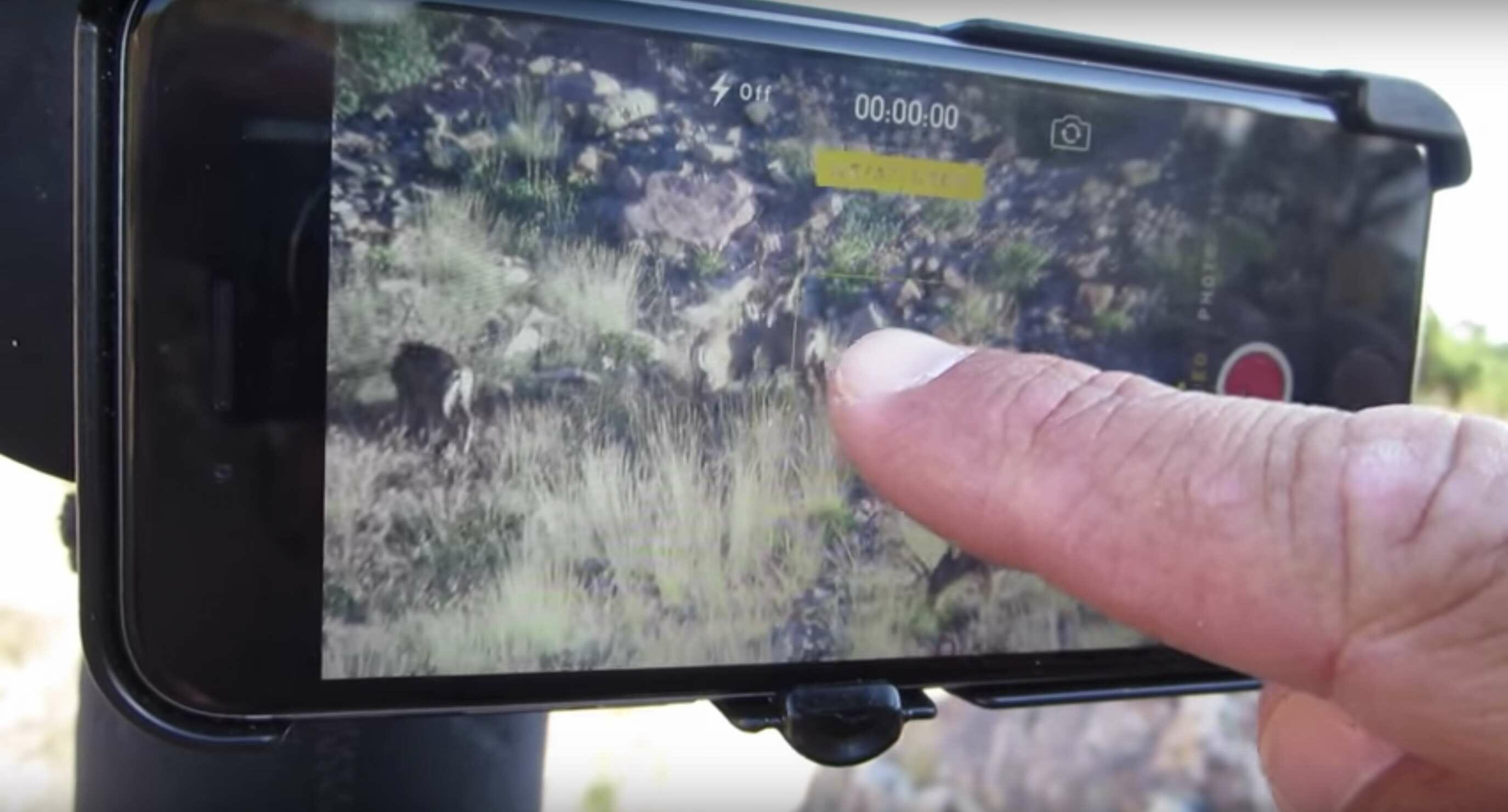 Phone Skope Digiscoping Tips - Using Autofocus