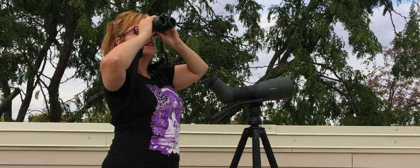 Binocular and Scope spotting