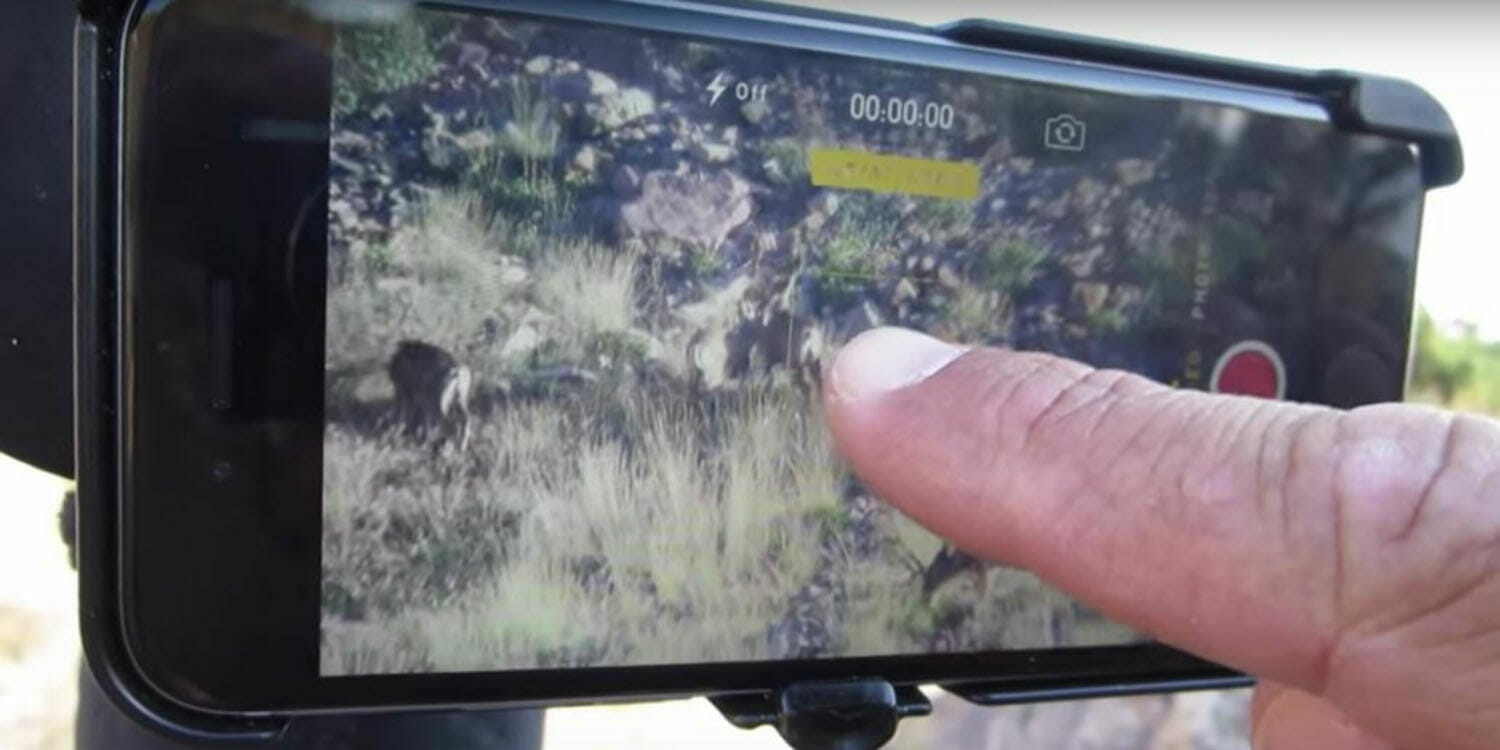 Tips for Digiscoping with PhoneSkope